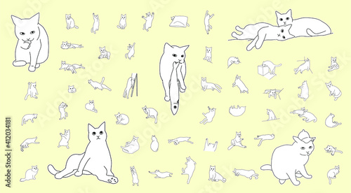 寝る 座る 遊ぶ たくさんのリアルな猫のしぐさ アウトラインのイラストセット Animal Poster Anim 山尾 由美