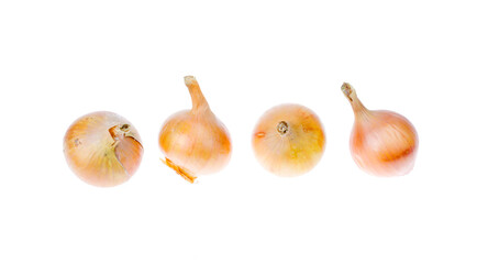 Golden onions isolated on white. Studio Photo