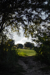 A Portal to Trees