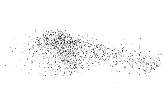 isolate Row of flying bats colony with white background