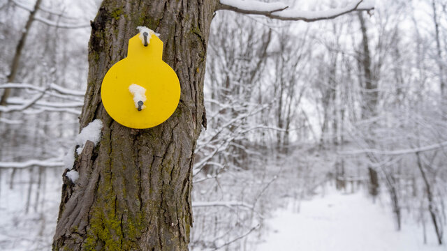 yellow trail marker nailed to snowy tree. Winter scene in forest with hiking trails