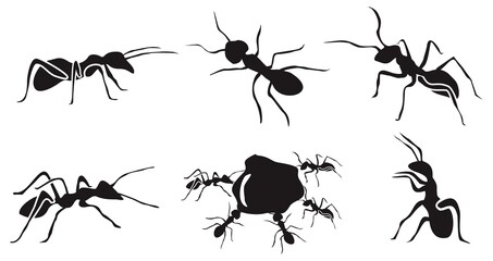 Ant Silhouette vector. symbol icons Ant illustration. black and white bakcground 