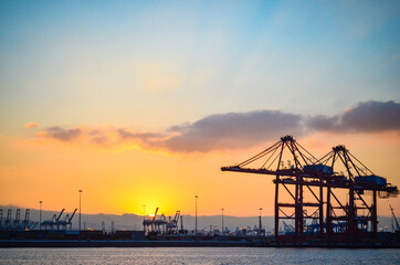 cranes at sunset