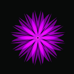 Simple Mandala Shapes for Coloring. Vector Mandala. Flower. Flower. Oriental. Book Pages. Outline. Mandala backgrounds for your website design, application, UI. Vector icon illustration, EPS10.