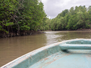 The blue boat front ran into the mangrove forest. A cloudless sky and the horizon.Space for text.