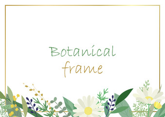 Botanical frame illustration. Invitation or greeting card templates (white background, vector, cut out)
