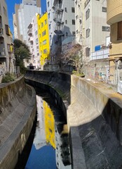 Yellow building and other buildings reflecting on a river in Shibuya, Tokyo, Japan