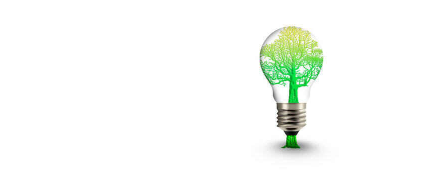 Green energy resources light bulb concept, Energies renewable, Ecologic ideas,  Creative idea for earth day or protection of environment. plant inside the bulb light 