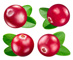 Ripe cranberry collection with green leaf clipping path. Organic fresh cranberry isolated on white. Full depth of field