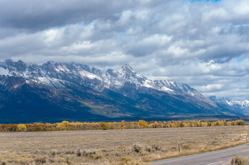 landscape with snow and trees