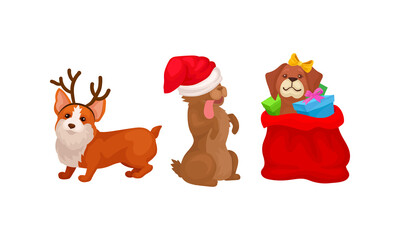 Domestic Dog Pet with Christmas Symbols Vector Set
