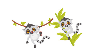 Cute Lemur as Primate with Long Striped Tail Swinging on Liana Vector Set