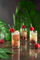 Set of cocktails in shot glasses with cucumber,berry liqueur and raspberries on dark background with reflection and palm leaves.Recipe,bar menu.Close up,selective focus.