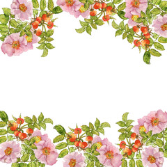 rosehip inflorescence postcard watercolor, frame of leaves and flowers of garden roses, place for inscription, botanical illustration
