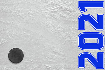 Fragment of a hockey rink and a puck