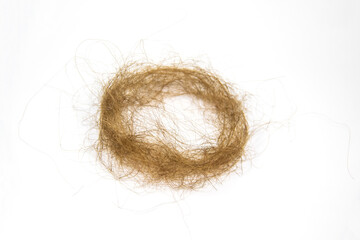 Concept of problem with loss hair. Hair wound in a circle on white background