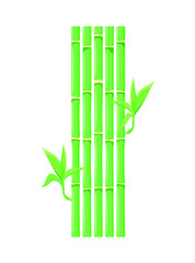 Green bamboo with leaves on a white background
