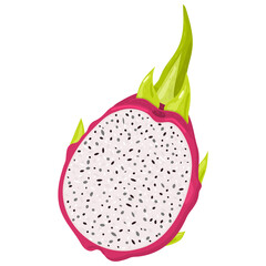 Fresh half cut red pitaya fruits isolated on white background. Summer fruits for healthy lifestyle. Organic fruit. Cartoon style. Vector illustration for any design.