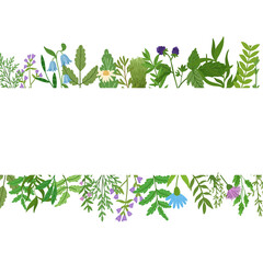 Fototapeta na wymiar Wild herbs banner. Cartoon leaves,brunches,flowers,twig isolated on white background. Vector hand drawn illustration.