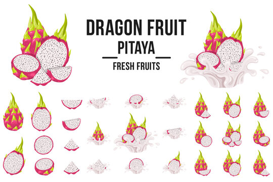 Set of fresh whole, half, cut slice red pitaya fruits isolated on white background. Summer fruits for healthy lifestyle. Organic fruit. Cartoon style. Vector illustration for any design.