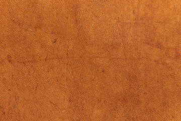 leather grunge background: an old piece of tough camel skin, with scuffs, spots, scars