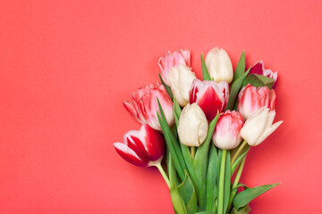 Bouquet of tulips in coral and white colors. Concept of spring, Women's Day, Mother's Day, 8 March, the holiday greetings. Copy space, flat lay.