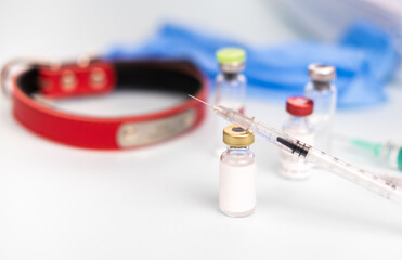 Collar with syringe and ampoule mock up on a blurred background, veterinary medicine, injections, vaccine, animal care, treatment, diagnosis