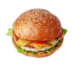 Delicious tasty burger isolated on white background