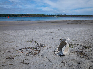 n95 mask littering a beach in new zealand