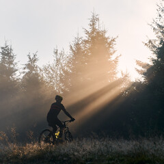 Silhouette of man in cycling suit riding bicycle in forest illuminated by morning sunlight. Male...