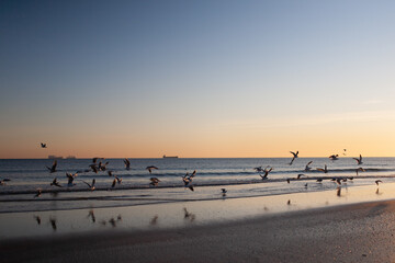 Obraz na płótnie Canvas seashore at sunset