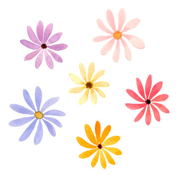 カラフルな花の水彩イラスト