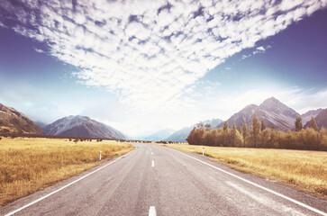 Road in New Zealand