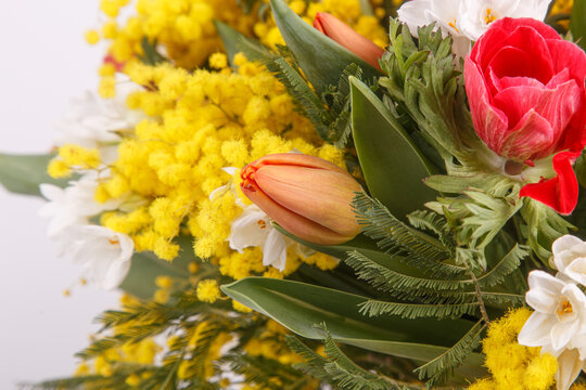 Floral arrangement with mimosa and animons on gray background 