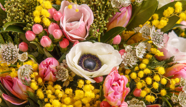 Floral arrangement with mimosa and animons on gray background 