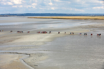 Group of hikers in the bay at low tide. Hike in the bay with a knowledgeable guide. Mont...