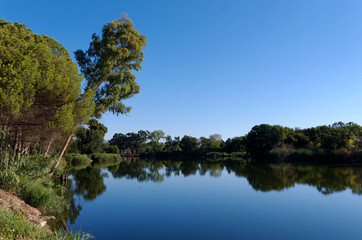 Mouth of the Fium Orbo river in the  eastern coast of Corsica