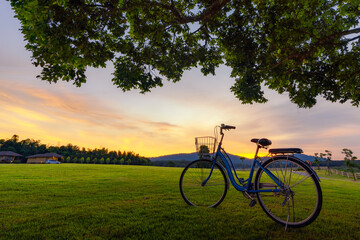 Naklejka na ściany i meble Bicycle parked With green lawn at sunset.