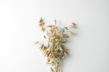 A bouquet of oats lies on a bright background