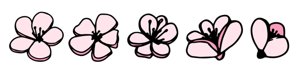 Vector set silhouettes of five hand drawn pink magnolia flowers isolated on white background. Vector illustration. Flowers spring doodle, sketch illustrations