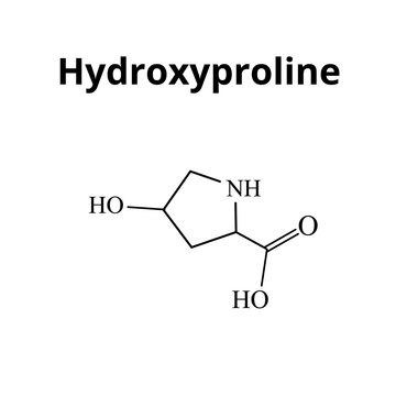 Amino acid Hydroxyproline. Chemical molecular formula Hydroxyproline amino acid. Vector illustration on isolated background