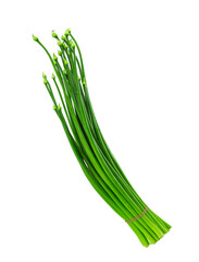 onion flower stem on white background