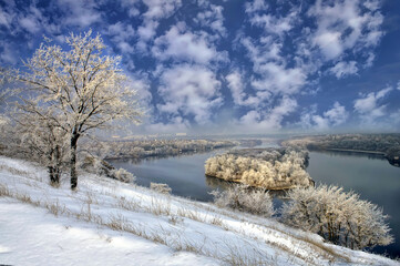 Fototapeta na wymiar Frozen tree on winter landscape