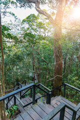 Pha Diao Dai Nature Trail, Thailand