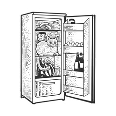 Cat in fridge sketch raster illustration