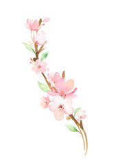Obraz na płótnie Canvas 手描き水彩 | 桜の枝 イラスト