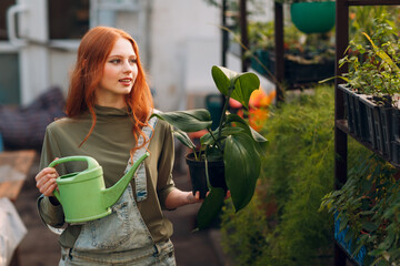 Home gardening concept. Young woman watering plants floral in greenhouse.