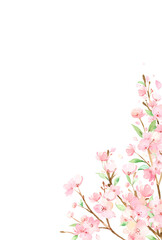 手描き水彩 | 桜の枝  ポストカードやグリーティングカードの背景イラスト