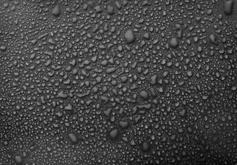 Droplets water background. Rain wallpaper with liquid drop