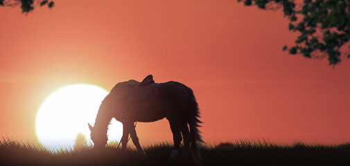 Fototapeta na wymiar silhouette of a horse in meadow against golden at sunset.
